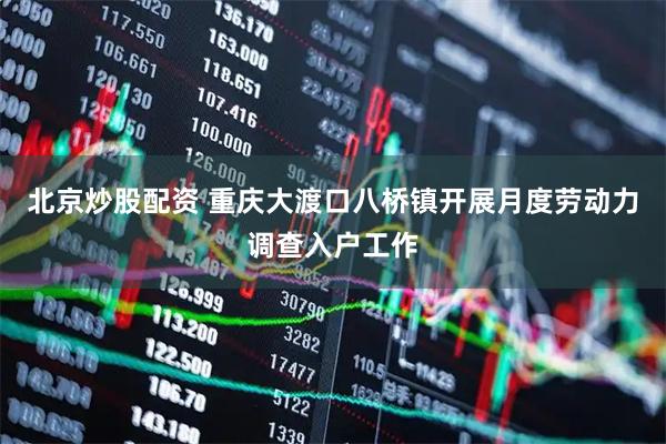 北京炒股配资 重庆大渡口八桥镇开展月度劳动力调查入户工作