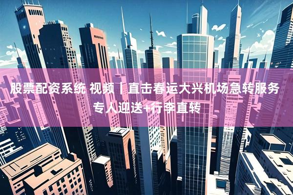 股票配资系统 视频｜直击春运大兴机场急转服务 专人迎送+行李直转