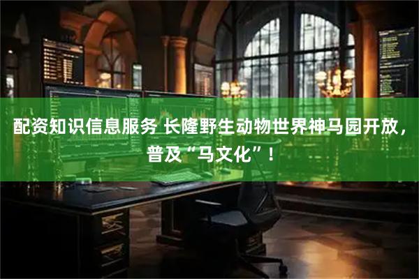 配资知识信息服务 长隆野生动物世界神马园开放，普及“马文化”！