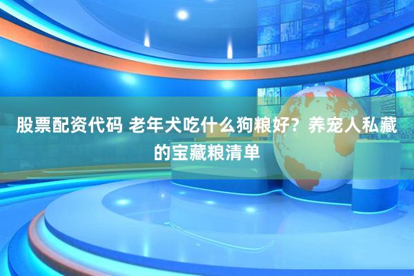 股票配资代码 老年犬吃什么狗粮好？养宠人私藏的宝藏粮清单