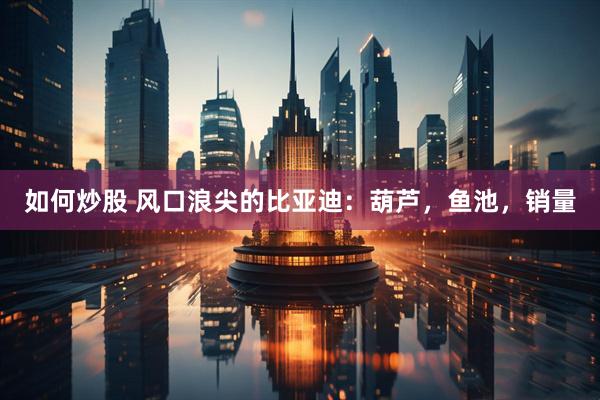 如何炒股 风口浪尖的比亚迪：葫芦，鱼池，销量