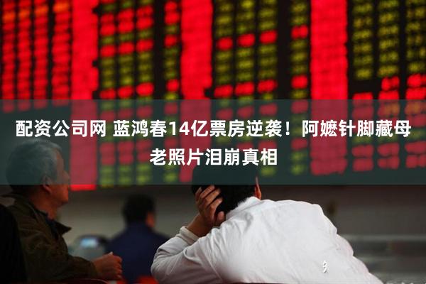 配资公司网 蓝鸿春14亿票房逆袭！阿嬷针脚藏母老照片泪崩真相